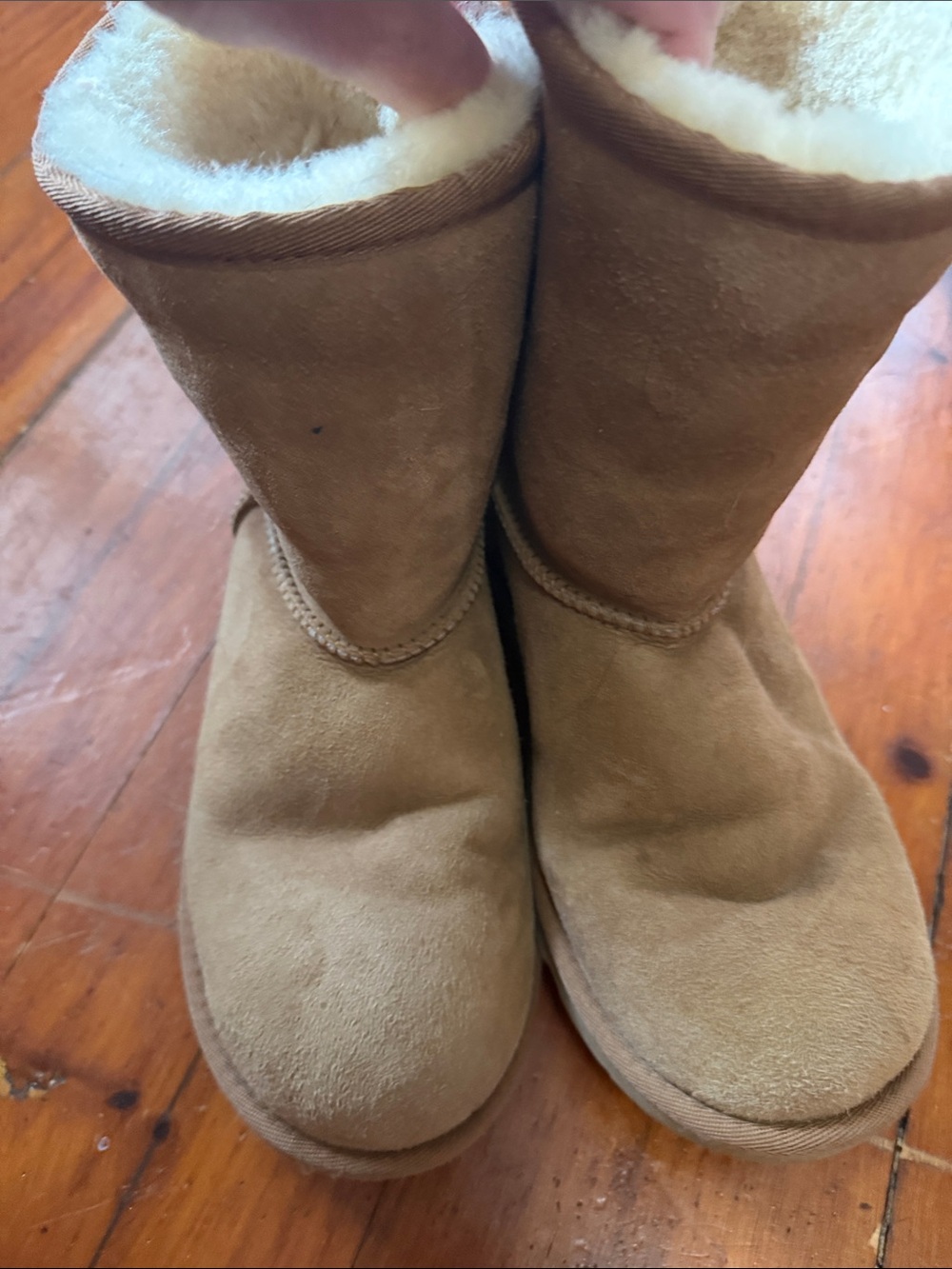 UGG Chestnut Kids Classic Short Boots